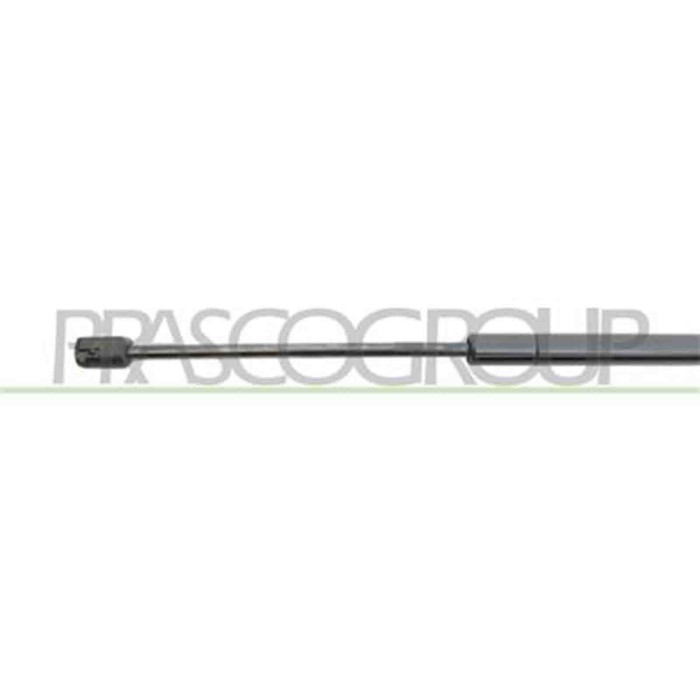 FT0409055_3.JPG Molla A Gas Destra O Sinistra Portellone Posteriore Per Fiat 500 L Dal 2012 Al 2017