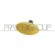 Fanale Laterale Destro O Sinistro Arancio Senza Porta Lampada Per Fiat Palio Dal 1997 Al 2004