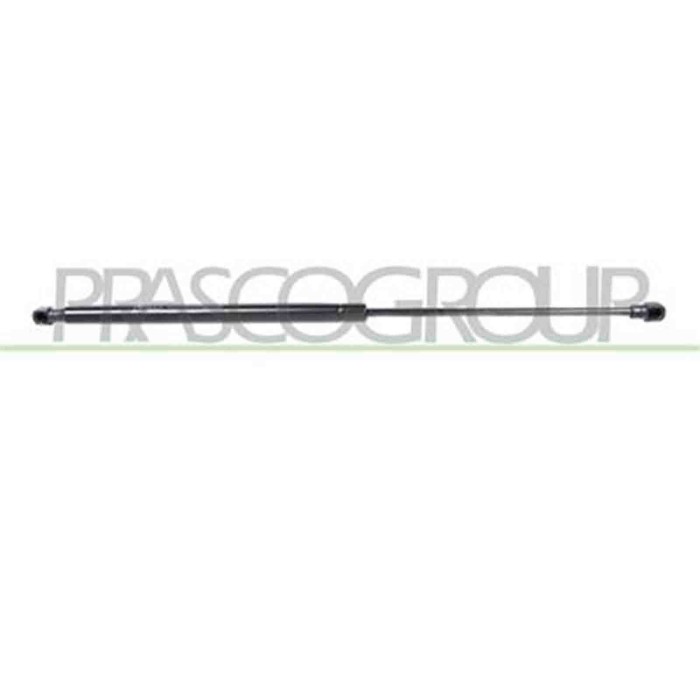 FT1139015_3.JPG Molla A Gas Destra O Sinistra Portellone Posteriore Per Fiat Palio Dal 1997 Al 2004