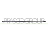 FT1139015_3.JPG Molla A Gas Destra O Sinistra Portellone Posteriore Per Fiat Palio Dal 1997 Al 2004