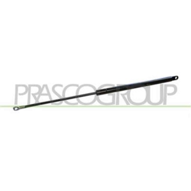 FT1219055_2.JPG Molla A Gas Portellone Posteriore Per Fiat Panda Dal 1986 Al 2003