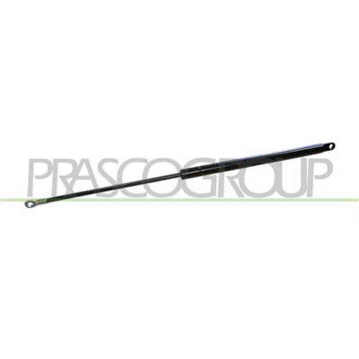 FT1219055_2.JPG Molla A Gas Portellone Posteriore Per Fiat Panda Dal 1986 Al 2003