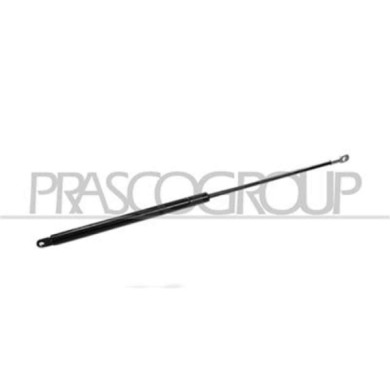 FT1219055_3.JPG Molla A Gas Portellone Posteriore Per Fiat Panda Dal 1986 Al 2003
