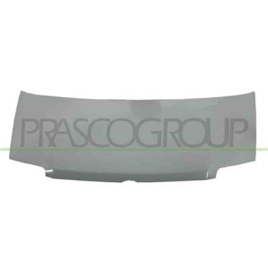 FT1223130_1.JPG Cofano Per Fiat Panda Dal 2003 Al 2011