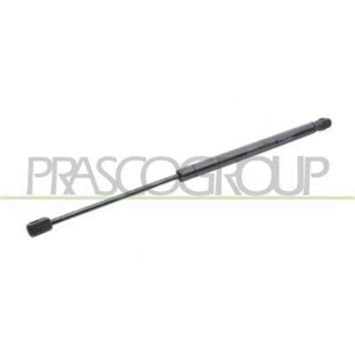 FT1329055_2.JPG Molla A Gas Destra O Sinistra Portellone Posteriore Per Fiat Punto Dal 1993 Al 1999