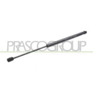 FT1329055_2.JPG Molla A Gas Destra O Sinistra Portellone Posteriore Per Fiat Punto Dal 1993 Al 1999