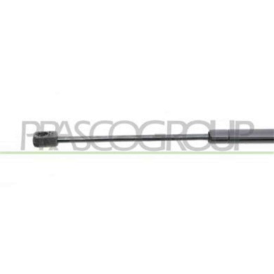 FT1329055_3.JPG Molla A Gas Destra O Sinistra Portellone Posteriore Per Fiat Punto Dal 1993 Al 1999
