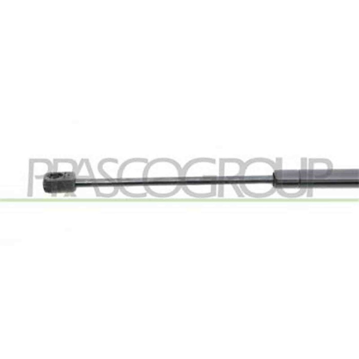 FT1329055_3.JPG Molla A Gas Destra O Sinistra Portellone Posteriore Per Fiat Punto Dal 1993 Al 1999