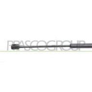 FT1329055_3.JPG Molla A Gas Destra O Sinistra Portellone Posteriore Per Fiat Punto Dal 1993 Al 1999