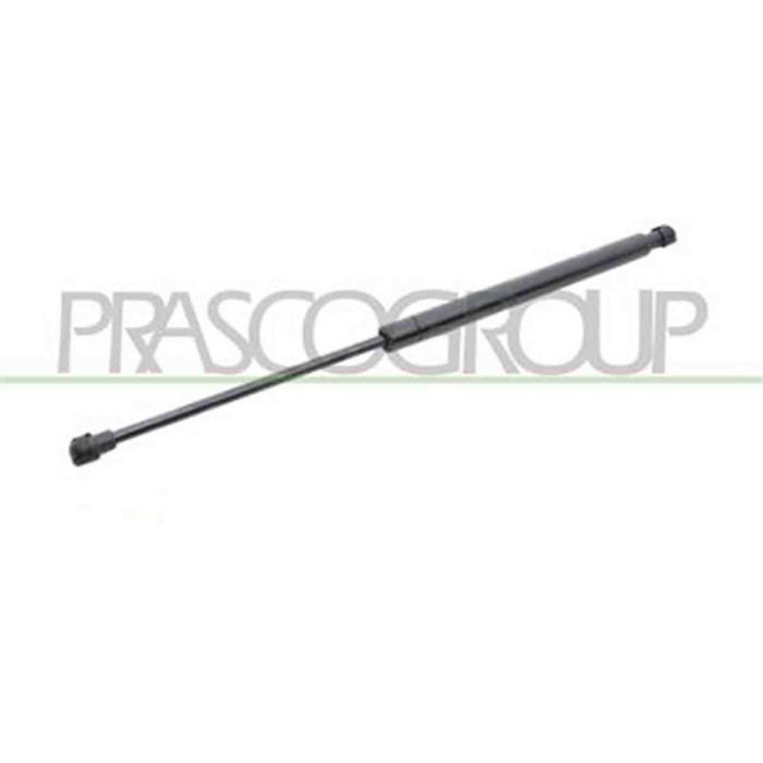 FT3429055_2.JPG Molla A Gas Destra O Sinistra Portellone Posteriore Per Fiat Grande Punto Dal 2005 Al 2009
