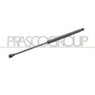 FT3429055_2.JPG Molla A Gas Destra O Sinistra Portellone Posteriore Per Fiat Grande Punto Dal 2005 Al 2009