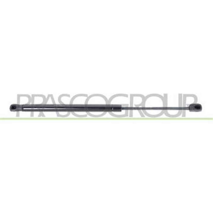 FT4209055_3.JPG Molla A Gas Destra O Sinistra Portellone Posteriore Per Fiat Stilo Dal 2001 Al 2010