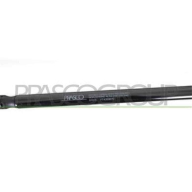 FT4209070_3.JPG Molla A Gas Destra O Sinistra Portellone Posteriore Per Fiat Stilo Dal 2001 Al 2010