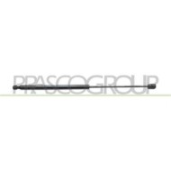 FT7159055_1.JPG Molla A Gas Destra O Sinistra Portellone Posteriore Per Fiat Multipla Dal 1999 Al 2002