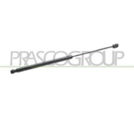 FT7159055_2.JPG Molla A Gas Destra O Sinistra Portellone Posteriore Per Fiat Multipla Dal 1999 Al 2002