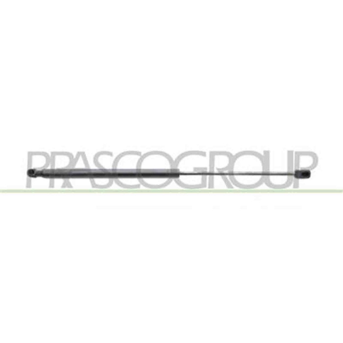FT7159055_3.JPG Molla A Gas Destra O Sinistra Portellone Posteriore Per Fiat Multipla Dal 1999 Al 2002
