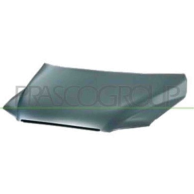 FT7173100_1.JPG Cofano Per Fiat Multipla Dal 2004 Al 2010