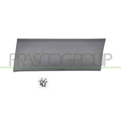 FT9001456_2.JPG Modanatura Laterale Inferiore Nera Per Nissan Nv 300 (x82) Dal 2016
