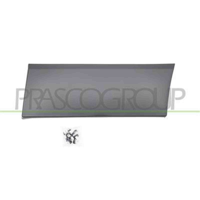 FT9001456_2.JPG Modanatura Laterale Inferiore Nera Per Nissan Nv 300 (x82) Dal 2016