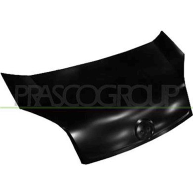 FT9073100_1.JPG Cofano Per Fiat Qubo Dal 2008 Al 2016