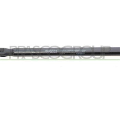 FT9089055_3.JPG Molla A Gas Destra O Sinistra Portellone Posteriore Per Fiat Doblo' Dal 2000 Al 2005
