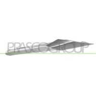 HD8311245_1.JPG Modanatura Centrale Argento Per Honda Cr-v Dal 2012 Al 2015