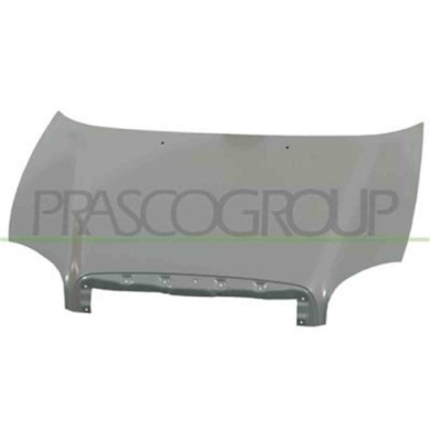 HN8123110_1.JPG Cofano Per Hyundai Santa Fe (sm) Dal 2000 Al 2003