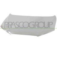 Cofano Per Hyundai Santa Fe (cm) Dal 2006 Al 2009