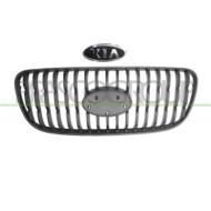 Griglia Radiatore Interna Per Kia Picanto Dal 2004 Al 2007
