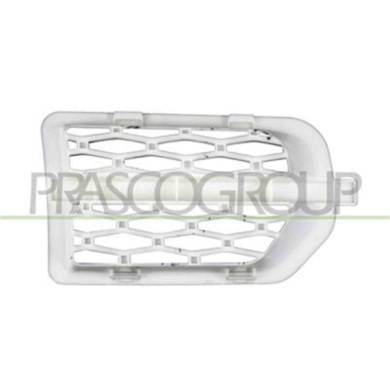 LR0301404_1.JPG Griglia Argento Parafango Anteriore Sinistro Per Land Rover Discovery Iii (lr3) Dal 2004 Al 2009