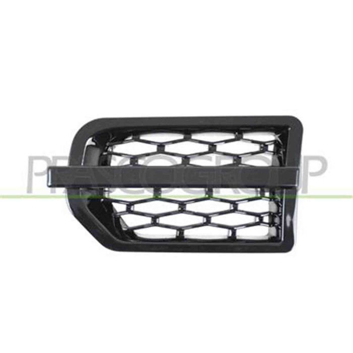 LR0301404_2.JPG Griglia Argento Parafango Anteriore Sinistro Per Land Rover Discovery Iii (lr3) Dal 2004 Al 2009