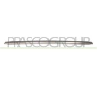 LR8641245_1.JPG Modanatura Centrale Inferiore Verniciata Argento Per Land Rover Range Rover - L322 Dal 2010 Al 2012
