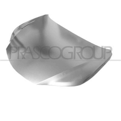 LS7003100_1.JPG Cofano Per Lexus Nx (az710) Dal 2014 Al 2017