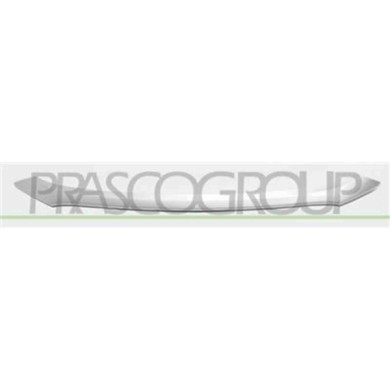 MB7201247_1.JPG Modanatura Centrale Inferiore Verniciata Argento Per Mitsubishi Outlander Dal 2015 Al 2018