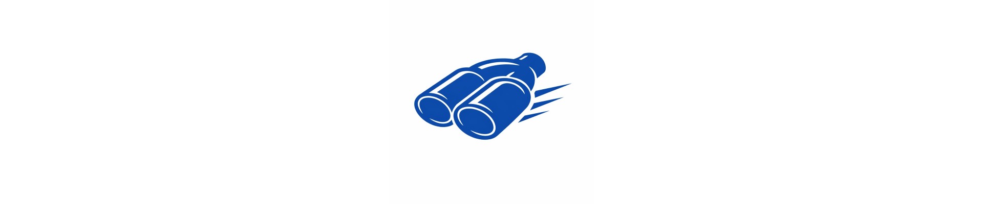 Terminali di scarico racing