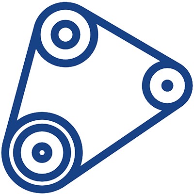 Cinghia distribuzione
